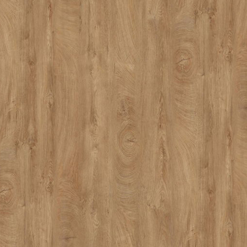 X7023 Naturalny dąb